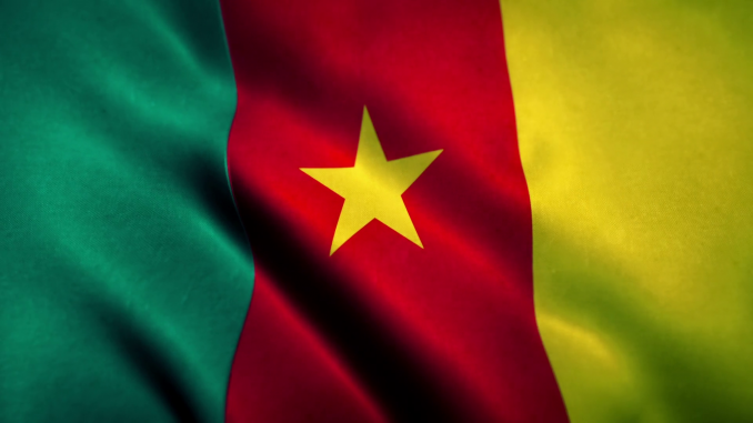videoblocks-cameroon-flag-blowing-in-the-wind_rvg0-mq-z_thumbnail-full01