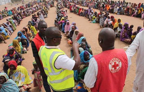 red cross nigeria (1)
