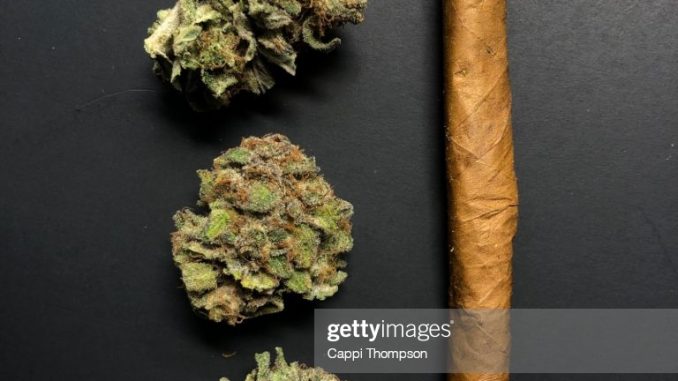 Hemp/Marijuana